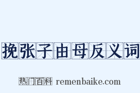 挽张子由母反义词是什么意思的图片